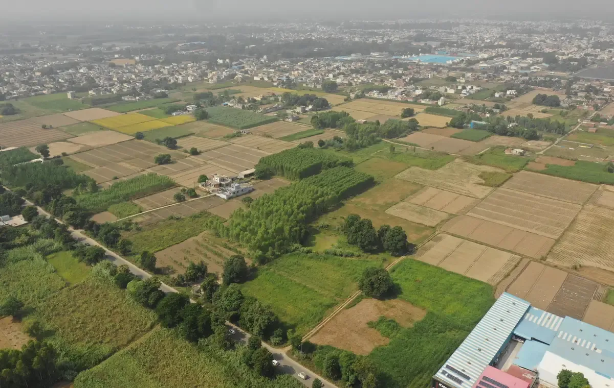 Aerial view of the land for the charitable hospital